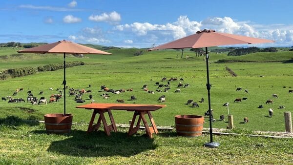 Rustic Tables and Forms